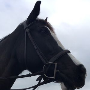 Meet your Posher, Faith